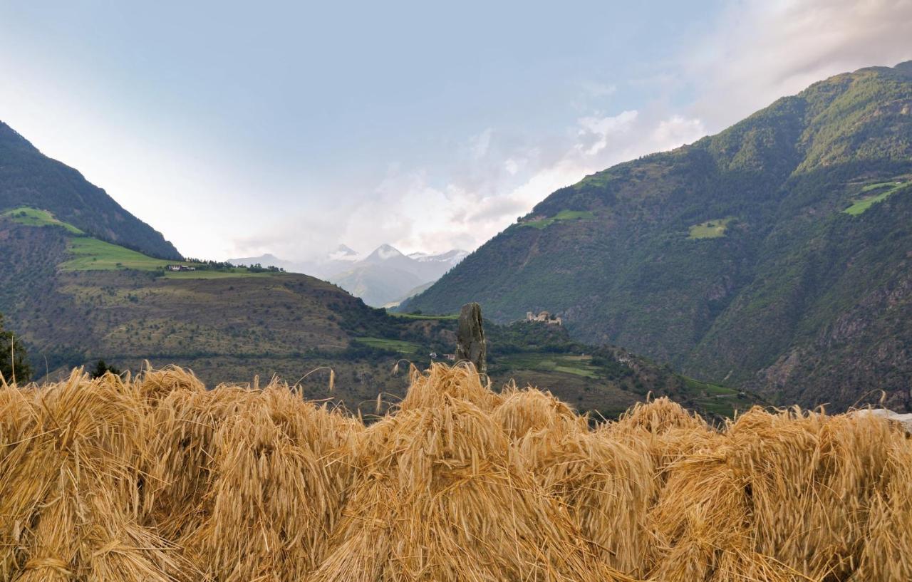Gasthof Weisses Kreuz Naturns Esterno foto