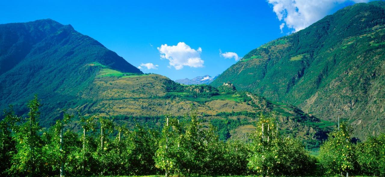 Gasthof Weisses Kreuz Naturns Esterno foto